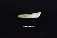 藏品(陶片)的圖片